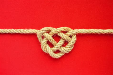 Best Celtic Love Knot Stock Photos Pictures And Royalty Free Images Istock