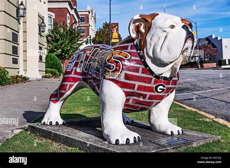 University Of Georgia Bulldog Sculpture Athens Georgia Usa Stock
