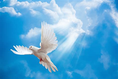 Jesús el Tesoro Escondido: Y el Espíritu Santo....¿Quién es?