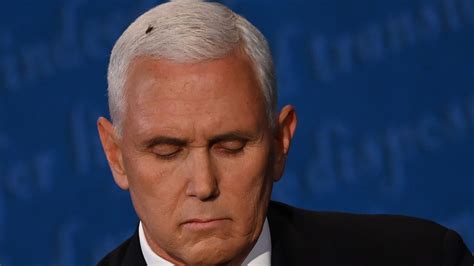 Congressman and governor of indiana, mike pence was elected vice president of the united states with president donald trump in 2016. Mike Pence's Fly Briefly Made the Internet 2012 Again ...