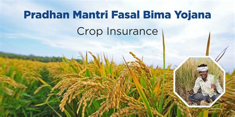 The Importance Of Crop Insurance For Farmers