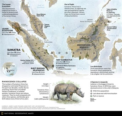 Map Shows Why Critically Endangered Rhinos Struggle to Survive