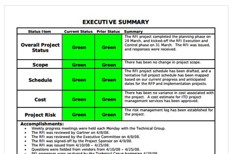 Executive Summary Project Status Report Template 7 Professional