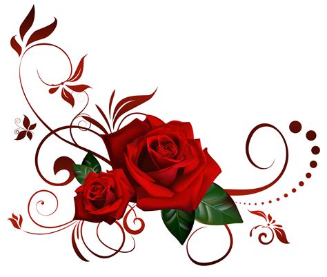 Red Rose Png Flowers Images And Clipart Transparent Background