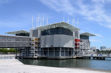 Lisbon Oceanarium Wikipedia