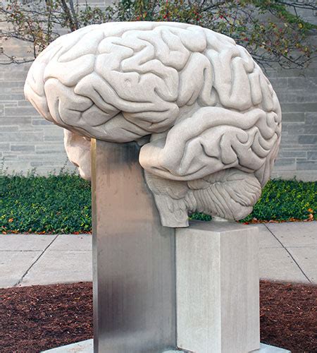 The Biggest Brain Sculpture In The World Association For