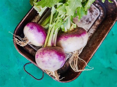 Turnip Benefits And Recipes Learn All About This Versatile Vegetable