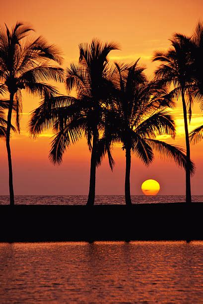 Best Hawaiian Sunset Stock Photos Pictures And Royalty Free Images Istock