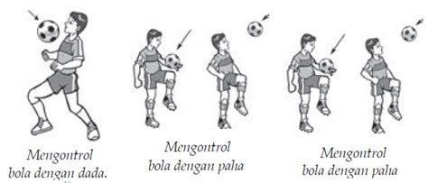 Teknik Cara Menendang Bola Dan Teknik Menahan Mengontrol Bola