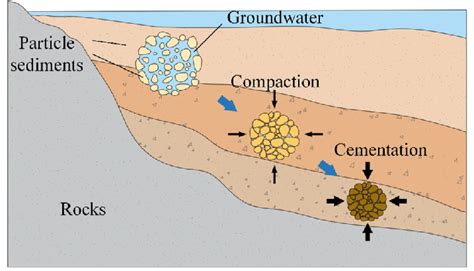 In the lithification process, compaction is followed by cementation. Lithification process of rock in nature. | Download ...