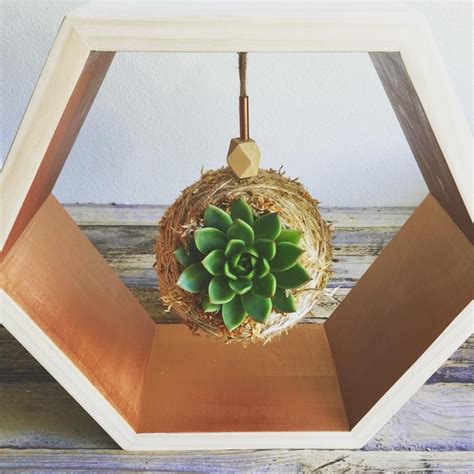 Even then, you typically only need to water it once a month, writes seana monley rodriguez, founder of tierra sol studio in north carolina. How often do I need to water my kokedama, and how much ...
