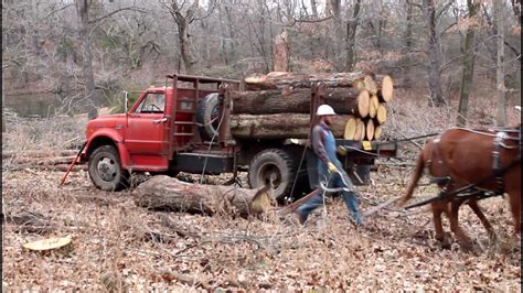 Mule Logging In Arkansas Youtube