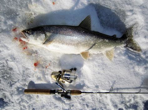 Blue Mesa Ice Fishing 2012 Report Ice Conditions For