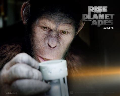 Caesar Planet Of The Apes Wallpapers Wallpaper Cave