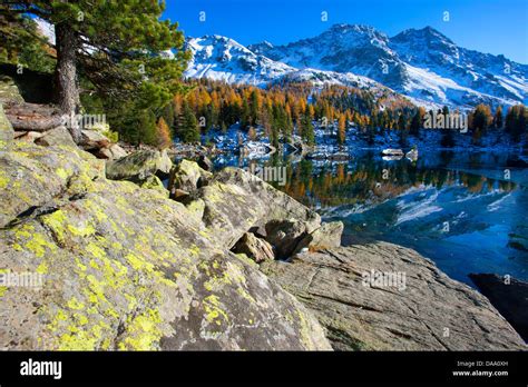 Posciavo Hi Res Stock Photography And Images Alamy