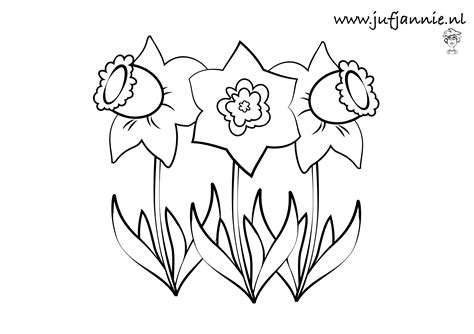 Leuke kleurplaten voor kinderen bij thema lente.