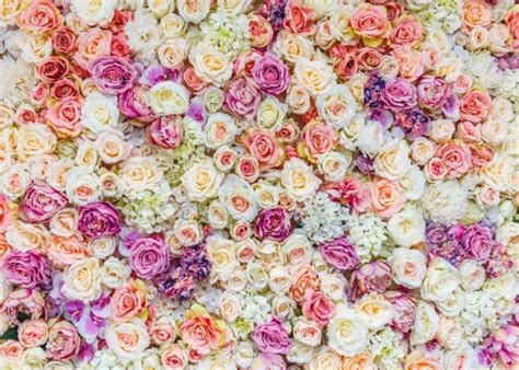 Colorful Roses Flower Wall Wedding Backdrop Photography Background