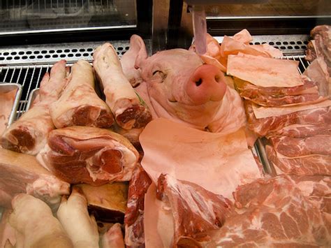 The meat paradox: how we can love some animals and eat others