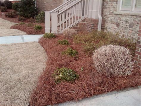 Do pine needles alter the soil ph? Soil Types Under Pine Needles - Live Web Cam Naked