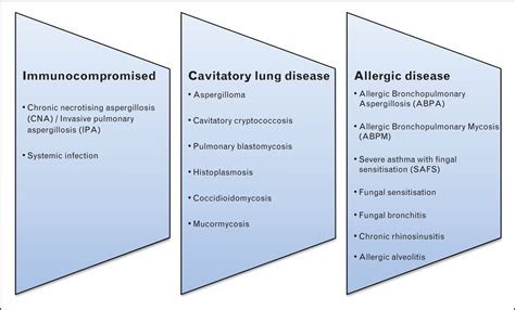 Allergic Fungal Airway Disease Pathophysiologic And Diagnos