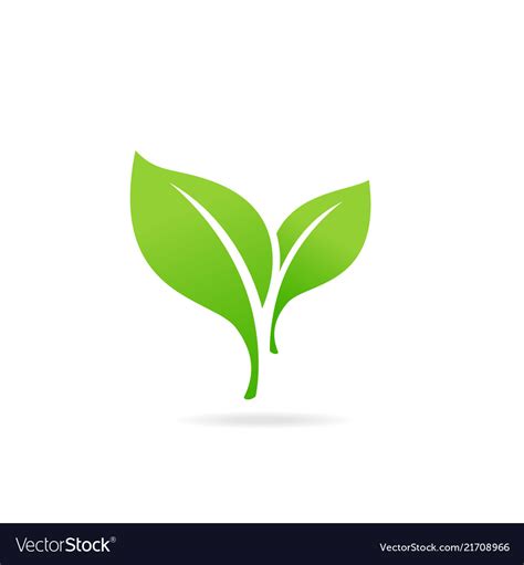 Icon visual transforms spaces and builds immersive environments through display graphics. Element for eco and bio logo green leaf icon Vector Image