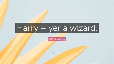 My dear professor, i've never seen a cat sit so stiffly. ~ all quote categories. J.K. Rowling Quote: "Harry - yer a wizard." (2 wallpapers) - Quotefancy