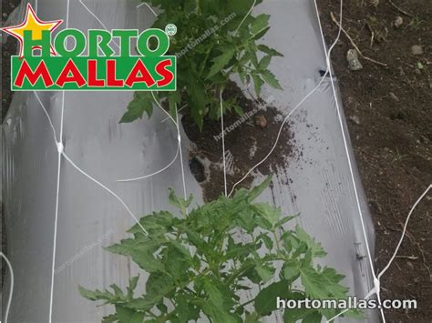 Tomato 5 Hortomallas™ Supporting Your Crops®