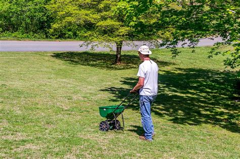 To understand precisely how lawn fertilizers work, you need to think of grass as a living organism, similar to a human body. How to Winterize Your Lawn | how-tos | DIY