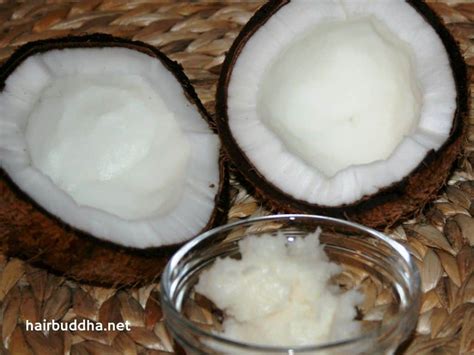 Castor oil is unanimously the best essential oil to bring that sheen, luster and gloss back to your head of hair, without having to dole out the cash on expensive shampoos and conditioners. 15 Home Remedies for Grey Hair - hair buddha