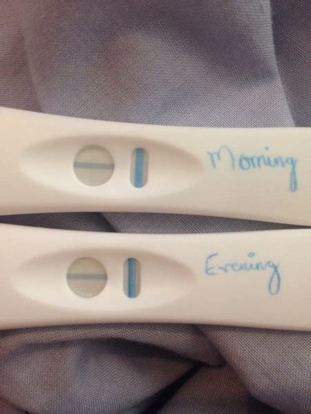 Possible Positive Test 2weeks After Miscarriage Mumsnet