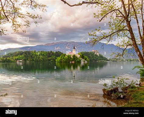 Iconic Lake Bled Slovenia Stock Photo Alamy