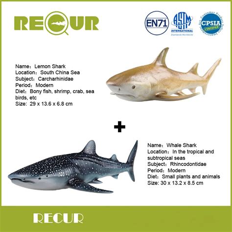 2 Pcslot Recur Lemon Sharkwhale Shark Marine Life Simulated Model