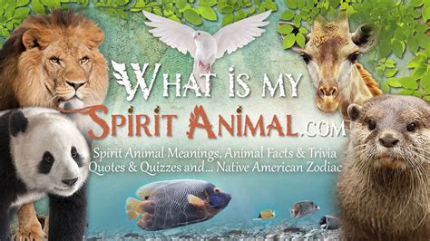 What Is My Spirit Animal Spirit Totem And Power Animals
