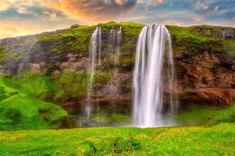 Seljalandsfoss Waterfall In Iceland At Sunset Amazing Summer Landscape