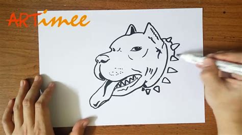 How To Draw A Pitbull Step By Step Step By Step How To Draw A Pit Bull