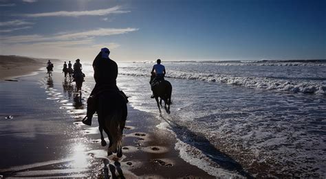It was an incredible experience. Horse and camel riding in Morocco