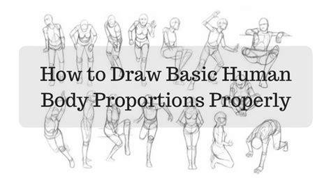 How To Draw Human Body Proportions