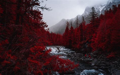 Download Wallpaper 3840x2400 River Trees Red Mountains Fog