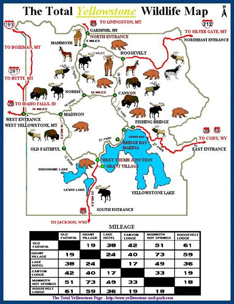 The Total Yellowstone Wildlife Map Page Yellowstone National Park