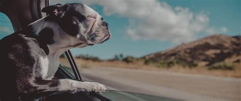 Car Insurance Quotes Ireland | Young Drivers Specialists | Cover in a Click