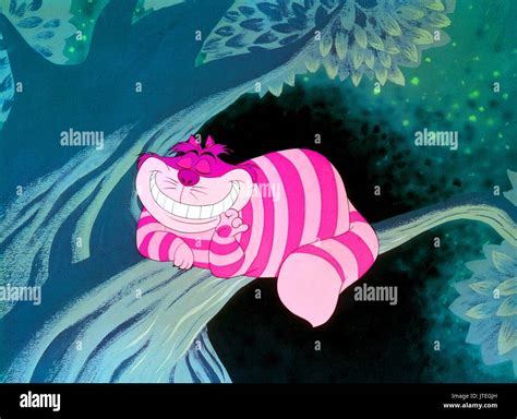 Cheshire Cat Hi Res Stock Photography And Images Alamy