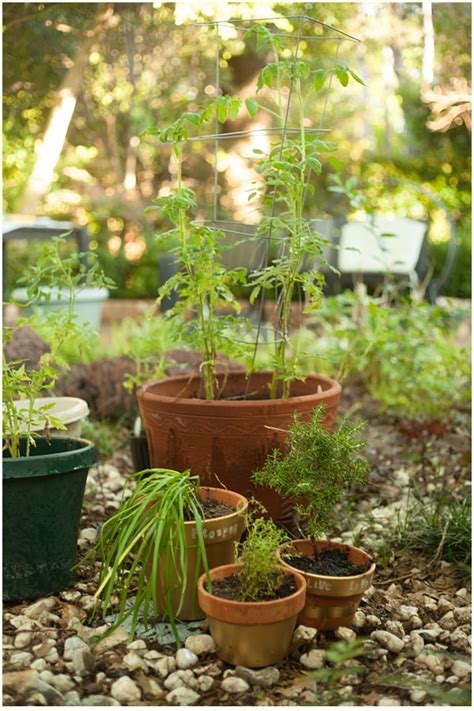 More images for how to spray paint terracotta pots » How to Spray Paint Terra Cotta Pots - Run To Radiance