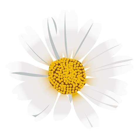 Free Free 307 Daisy Flower Vector Svg SVG PNG EPS DXF File