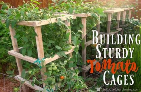 Building Sturdy Tomato Cages Get Busy Gardening