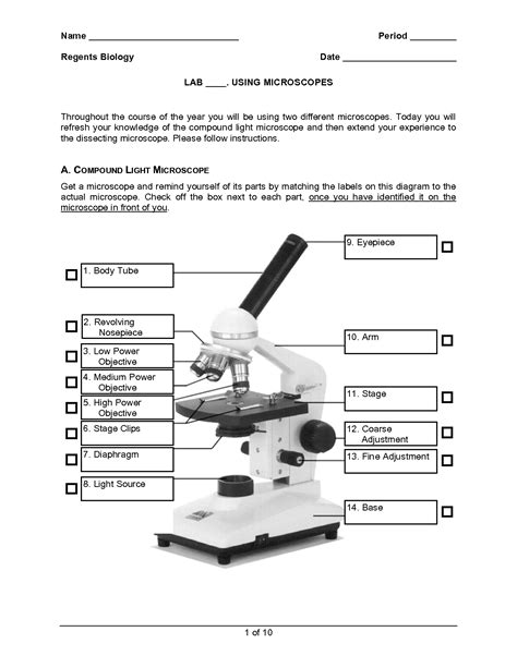 9 Using A Microscope Worksheet