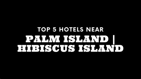 Top 5 Hotels near Palm Island | Hibiscus Island