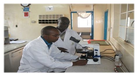 The advances in cell and tissue culture international conference aims to create an interdisciplinary forum in which over 200 industry and academic researchers, working in cell culture can exchange knowledge, promote their activities and set up new collaborative projects. Chikankata Mission, Zambia - Laboratory