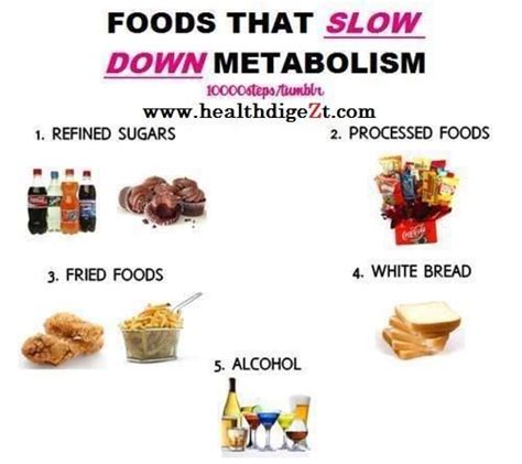 Among them is a study conducted by lisa pichon that tested the effects on weight of 10 different high protein diets. foods that slow metabolism | To our Health! | Pinterest