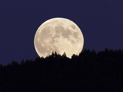 We did not find results for: Vollmond: Wirkt er wirklich auf uns? - Gesundheit -- VOL.AT