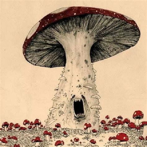 1 Love Wellthatwassurreal Mushroom Surreal